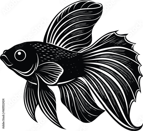 Elegant black beta fish illustration with flowing fins and detailed texture silhouette vector 