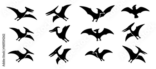 Silhouette dinosaurs: pterodactyl and bat icons in flight