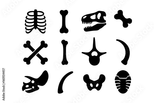 Black silhouette dinosaur fossils and bones set for paleontology and science