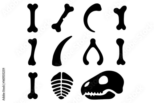 Silhouette dinosaur bones and fossils collection for educational design