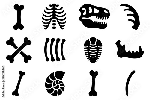 Dinosaur and fossil silhouettes: bones and fossils icon set