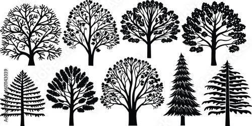 silhouette tree set
