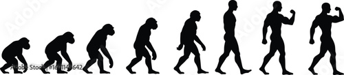 Human evolution silhouette, primate progression, growth stages, biological transformation, scientific conceptHuman evolution silhouette, primate 