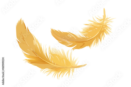 Two delicate golden feathers floating gracefully against a black background