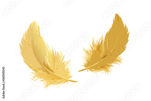 Two delicate golden feathers isolated on a black background
