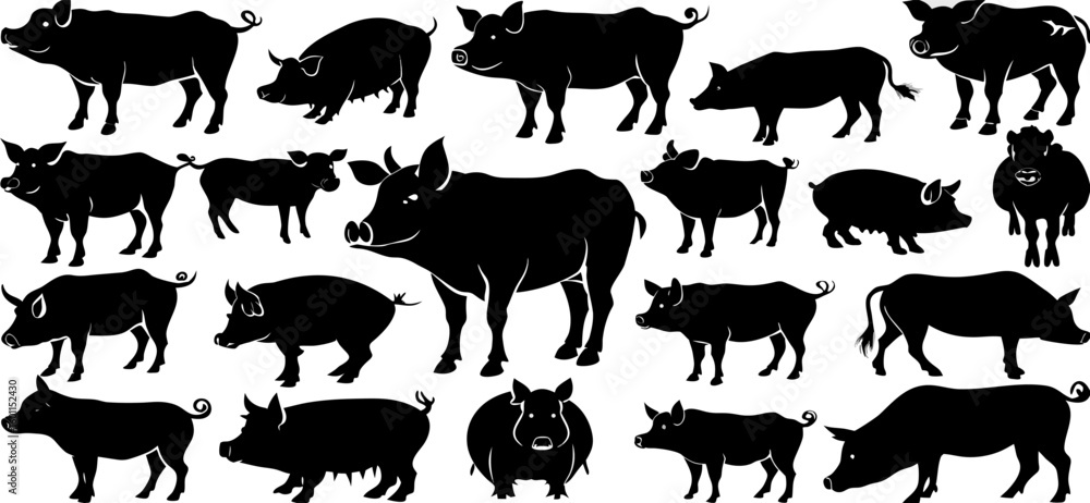 Fototapeta premium Collection of Pig Silhouettes: Black and White Farm Animal Graphics