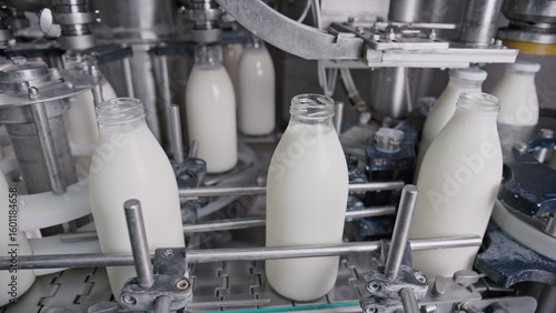 Fotografie Milk bottles moving on conveyor belt in dairy