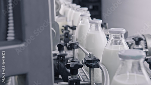 Milk bottles moving on conveyor belt in dairy