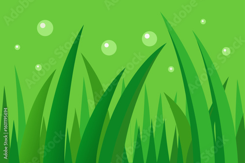 green grass with dew drops