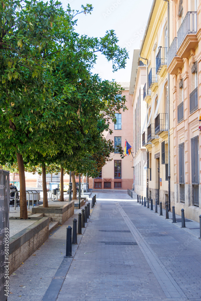 Obraz premium Valencia, Spain - July 13, 2025: Quiet street in Valencia featuring vibrant buildings, lush green trees, and colorful flags, creating a serene urban atmosphere.