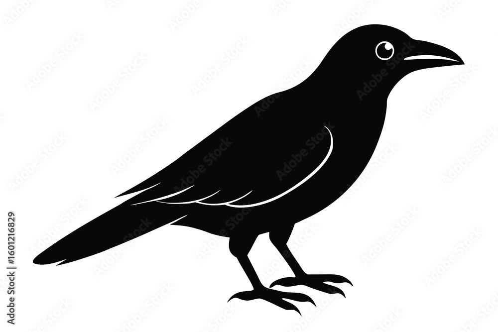 Fototapeta premium crow vector icon