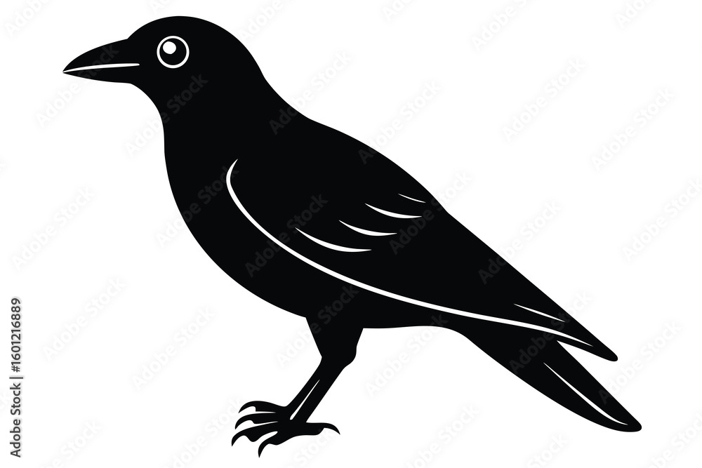 Obraz premium crow vector icon