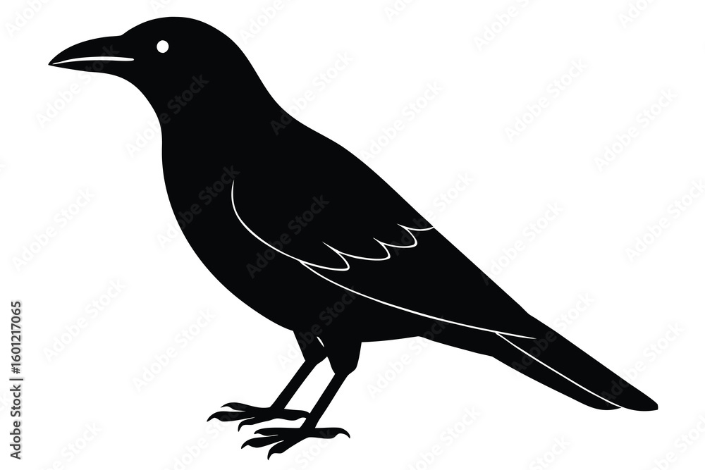 Obraz premium crow vector icon