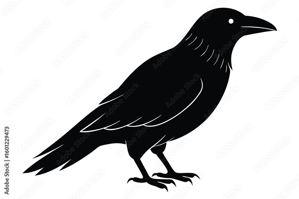 Obraz premium raven vector icon