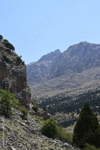 Wallpaper Mural mountain woods and blue sky Torontodigital.ca