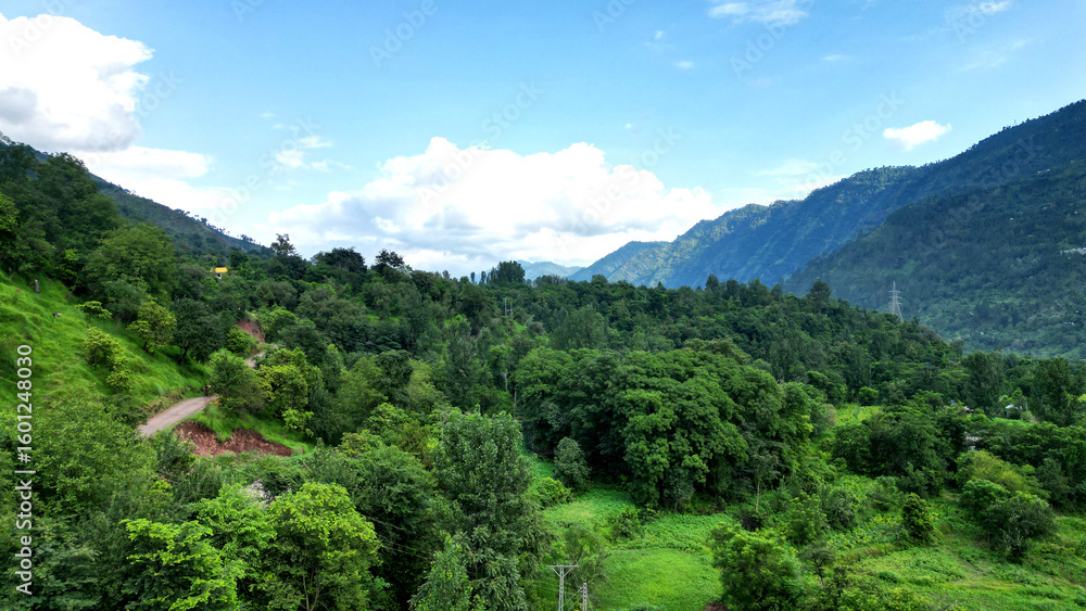 Naklejka premium Peaceful, lush green landscape