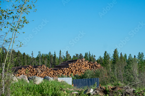 Log pile in rural Ontario Canada