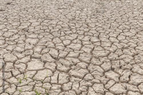 Cracked dry mud texture