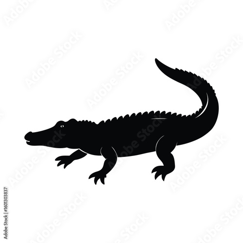 crocodile isolated on white background