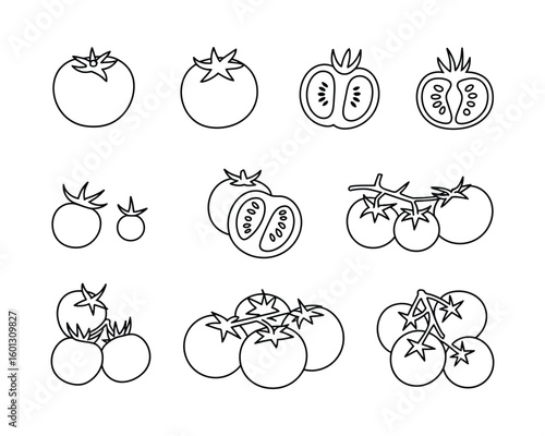 sketch style tomato bunch and slices