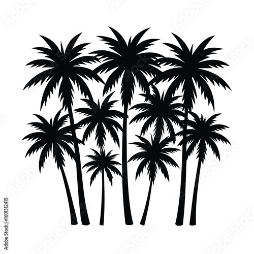 Silhouette of a tropical palm tree grove
