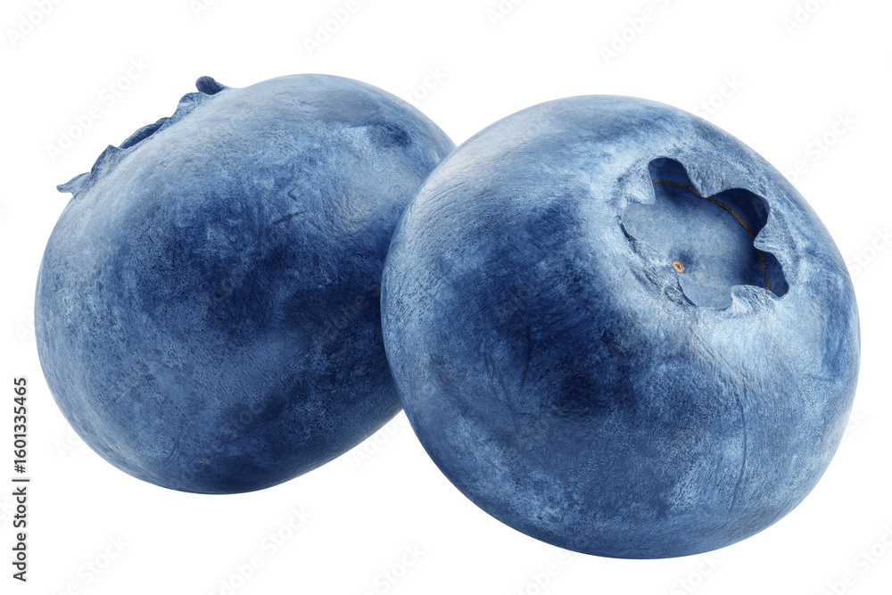 Obraz premium Blueberry isolated on white background, full depth of field