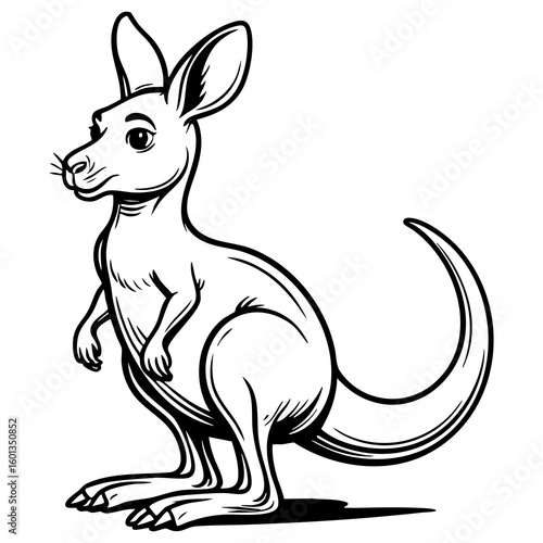 Realistic line art kangaroo standing with strong posture and long tail