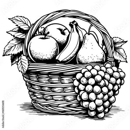 Wicker basket filled with fruits line art drawing