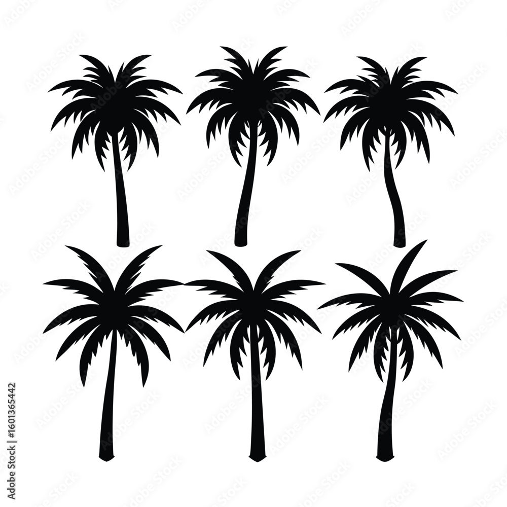 Obraz premium Collection of tropical palm tree silhouettes