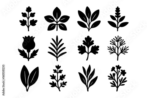 Collection of botanical silhouettes of various herbs and flowers