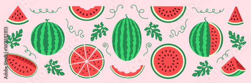 Simple bright watermelon illustration set featuring whole fruits, slices, leaves and vines on a pastel background. For card, print, kids, summer, food design or fruity patterns. Hand drawn. Clip art.