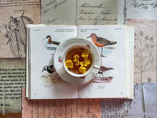hot flower tea with birdy book
