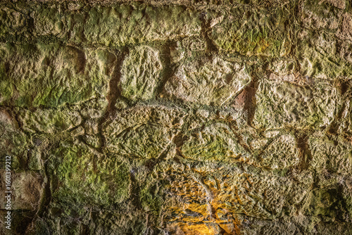 stone and moss