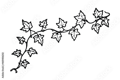 Hand Drawn Ivy Climbing Up