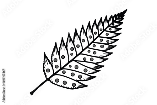 Fern Leaf with Spores