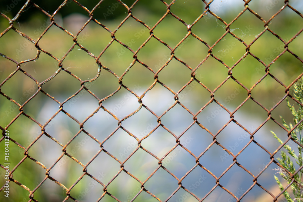 Fototapeta premium Rusted chain-link fence with blurred background