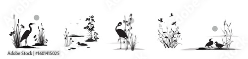 Swamp plants thicket: grass reed, cane, cattail, sedge, bamboo, miscanthus and standing, flying, swimming birds: heron, flamingo, ducks, sparrows. Monochrome silhouette landscape isolated drawings set