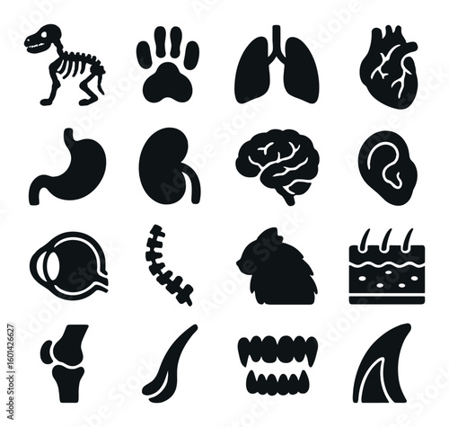 Anatomy silhouette icon set. containing lungs, heart, stomach, kidney, brain, ear, and more.