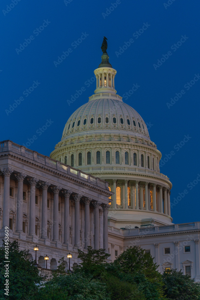 Obraz premium U.S. Capitol Dome at Twilight