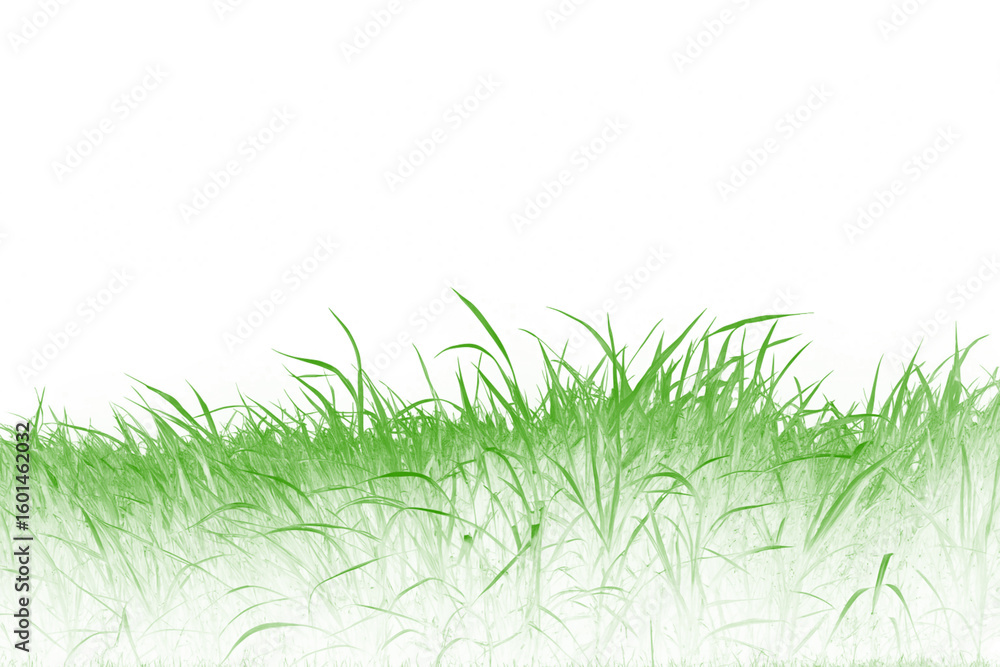 Fototapeta premium Lush Green Grass Texture High-Resolution Nature Image for Design Projects
