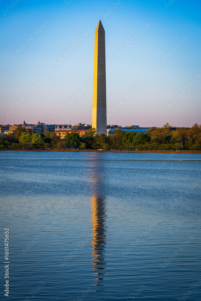 Obraz premium Washington Monument Reflected at Sunset