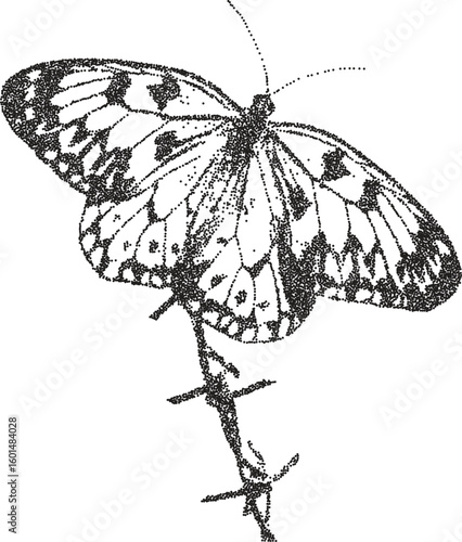 Butterfly vintage y2k stipple art, wing halftone stipple brutalist retro vector png with transparent background, metamorph 2000s aesthetic photocopy effect tattoo