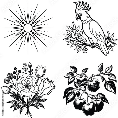 Vector art of a set of black and white illustrations including a sunburst design a cockatoo parrot on a branch a floral bouquet and a branch of apples