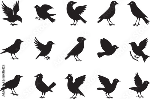 Collection of black bird silhouettes depicting various poses and flying activities on white background