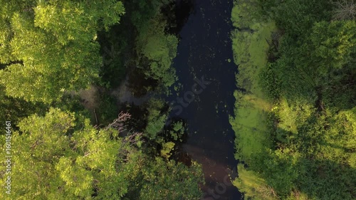 Green river banks - Niakwa River
