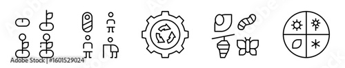 Conjunto de iconos de ciclo de vida. Proceso de desarrollo, transformación y evolución. Crecimiento de planta, etapas de la vida, ciclo, metamorfosis y estaciones del año. Ilustración vectorial