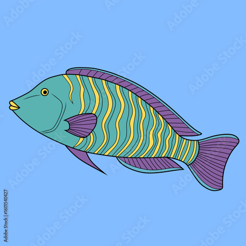 Vibrant vector drawing of a Napoleon wrasse with wavy yellow stripes and bold fins, set against a blue background. Great for marine life and ocean-themed designs.