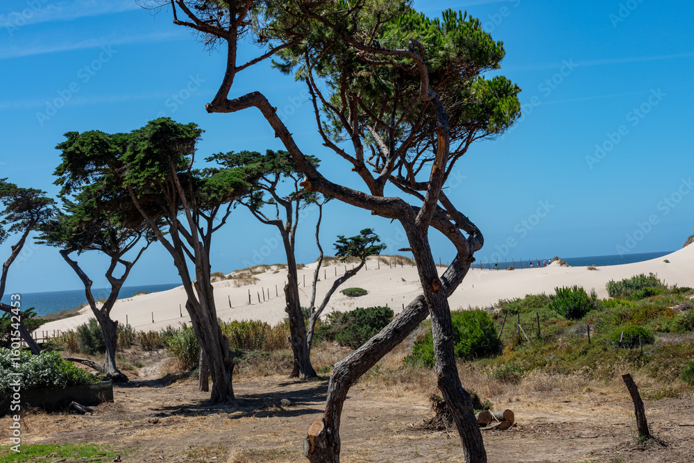 Scenic sand dunes near Cascais, Portugal Scenic sand dunes near Cascais, Portugal