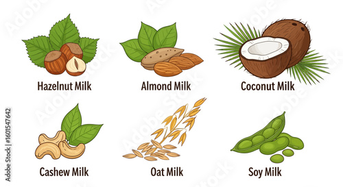 Illustration showcasing various plant-based milk alternatives including hazelnut, almond, coconut, cashew, oat, and soy, each paired with its source ingredient and leaves.