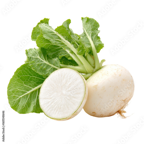Fresh daikon radish with green leaves, one cut open to show interior details
